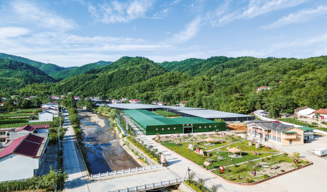 廟溝村的蝶變之路